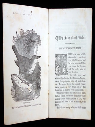 History of Birds, Child's Book About Birds part IV