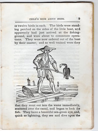 History of Birds, Child's Book About Birds part IV