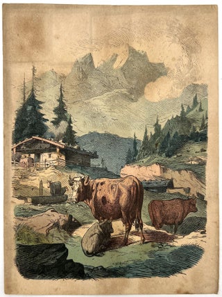 Early Victorian Children's Block Puzzle Depicting Exotic Adventure Scenes
