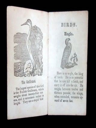 A History of Birds. For the Use of Children, yellow.