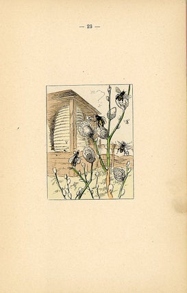 Kleine Lustige BilderBucher Nr. 1; Die Staren und die Spatzen. Der Fruhling Kommt (The starlings and the sparrows. The spring comes)