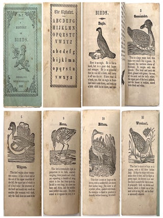 Item #21000273 A History of Birds