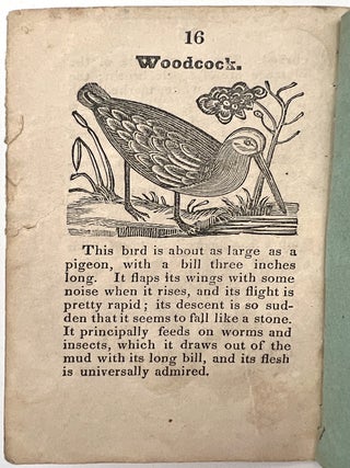 A History of Birds