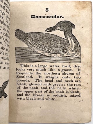 A History of Birds