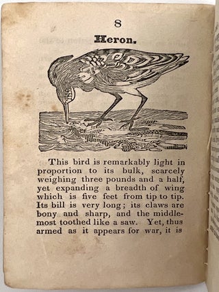 A History of Birds