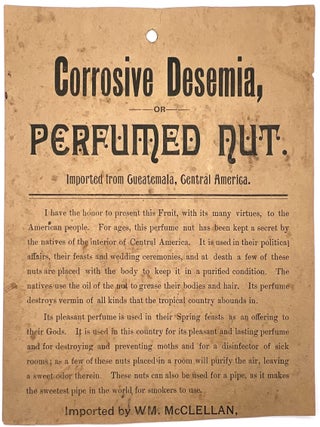 Item #21000289 Corrosive Desemia, or Perfumed Nut. Imported from Guatemala, Central America