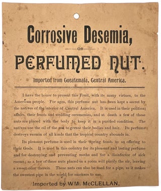 Item #21000289 Corrosive Desemia, or Perfumed Nut. Imported from Guatemala, Central America