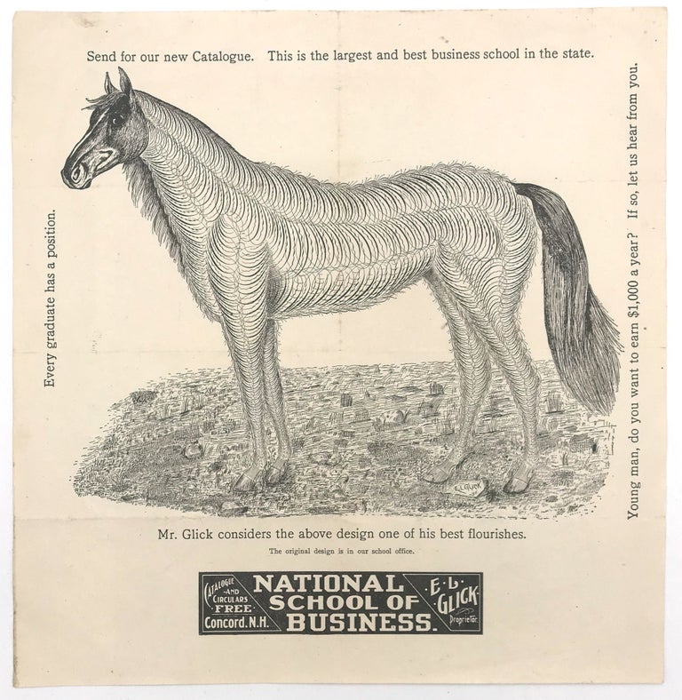 Item #21000394 Printed Advertisement for the National School of Business - Mr. Glick's Calligraphy Horse. E L. Glick.