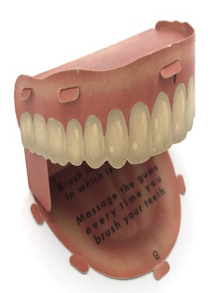 Item #21000593 Dental Model Advertising IPANA Toothpaste