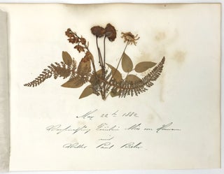 Travel and Botanical Specimen Album of Frederick Beringer