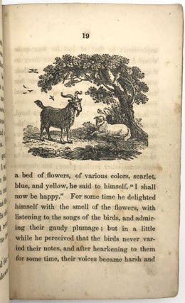 The Two Lambs, an Allegorical History, by the author of Margaret Whyte, &c. &c.