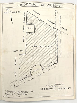 "Rare Opportunities in Vacant Land" - Urban Development in Brooklyn, Queens, and Staten Island