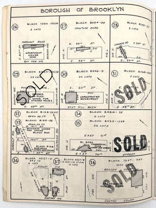 "Rare Opportunities in Vacant Land" - Urban Development in Brooklyn, Queens, and Staten Island