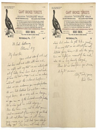 Letter from Turkey Breeder "Bird Bros" with Five (5) Feather Samples for Prize Winning Birds