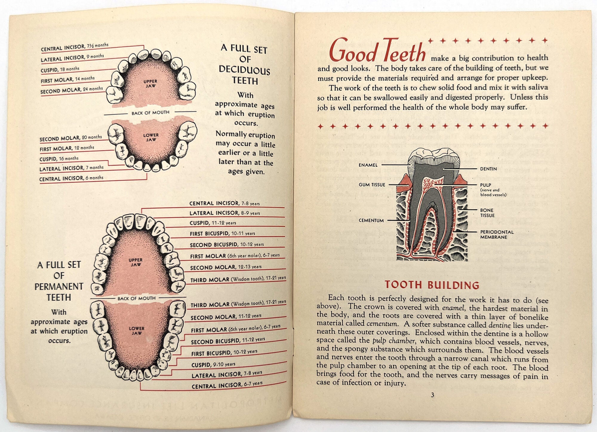 Good Teeth