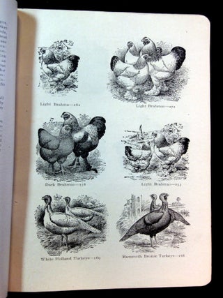 Catalogue of Cuts and Price List of Printing for Poultry and Live Stock Breeders and Business Men in General