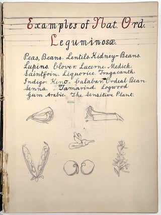 Original Archive of Childhood and Mature Art by Gladys Mary Black (1895-1979) and Siblings of Torquay, Devon, 1910-1968