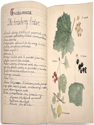 Original Archive of Childhood and Mature Art by Gladys Mary Black (1895-1979) and Siblings of Torquay, Devon, 1910-1968