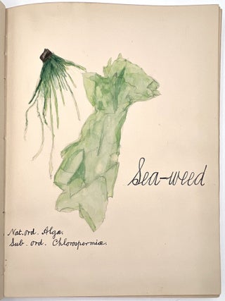 Original Archive of Childhood and Mature Art by Gladys Mary Black (1895-1979) and Siblings of Torquay, Devon, 1910-1968