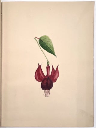 Original Archive of Childhood and Mature Art by Gladys Mary Black (1895-1979) and Siblings of Torquay, Devon, 1910-1968