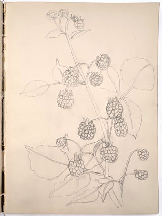Original Archive of Childhood and Mature Art by Gladys Mary Black (1895-1979) and Siblings of Torquay, Devon, 1910-1968