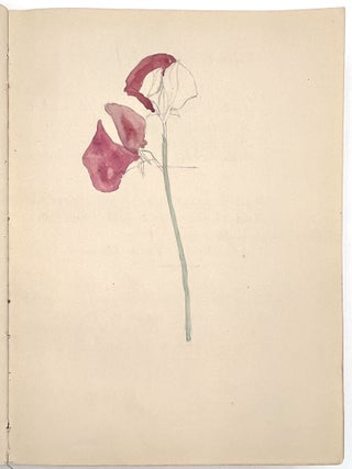 Original Archive of Childhood and Mature Art by Gladys Mary Black (1895-1979) and Siblings of Torquay, Devon, 1910-1968