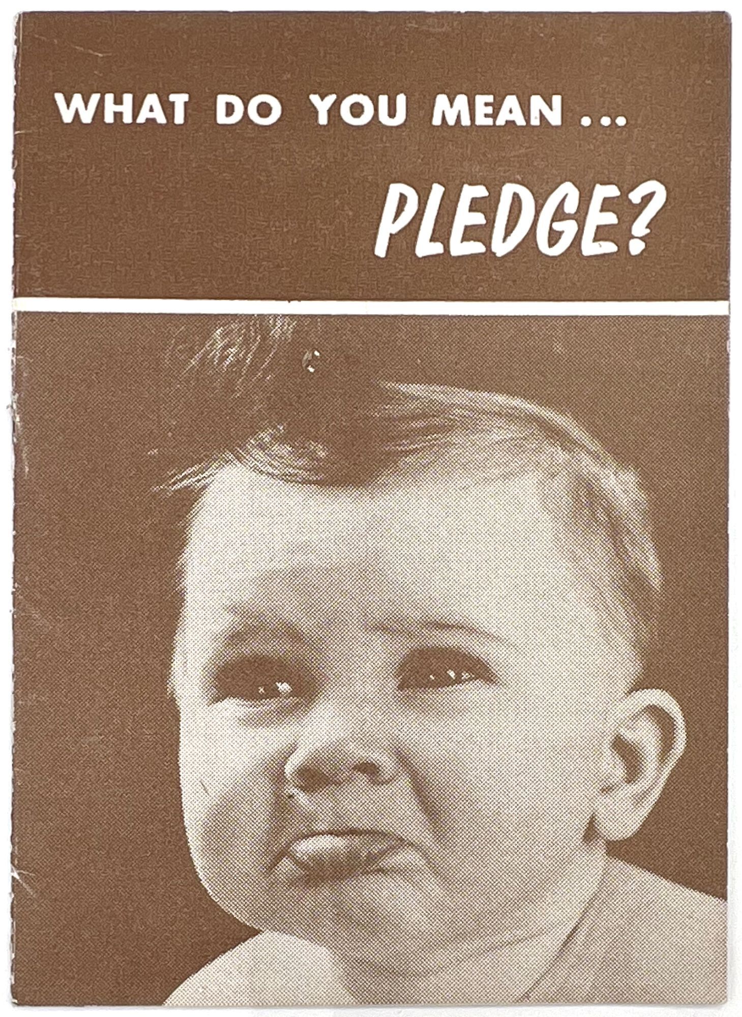 What do you mean ... PLEDGE