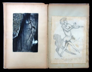Bruxelles Friendship Album and Sketch Book, 1887-1916, beautiful original artwork