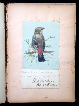 Bruxelles Friendship Album and Sketch Book, 1887-1916, beautiful original artwork
