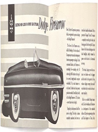 A Glimpse into the Future ... Firearrow