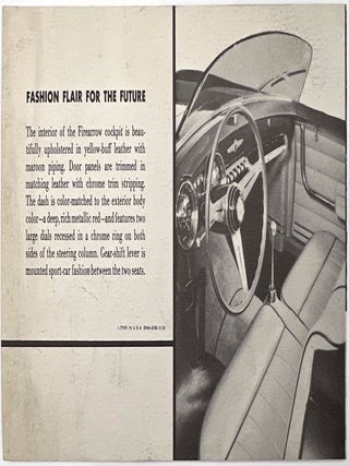 A Glimpse into the Future ... Firearrow