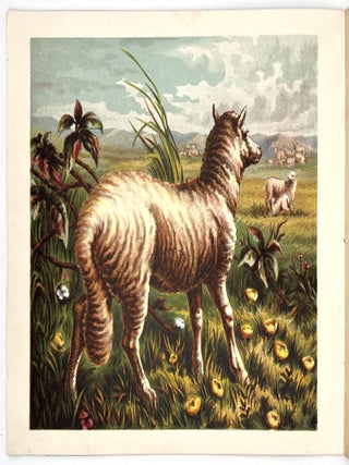 Domestic Animals
