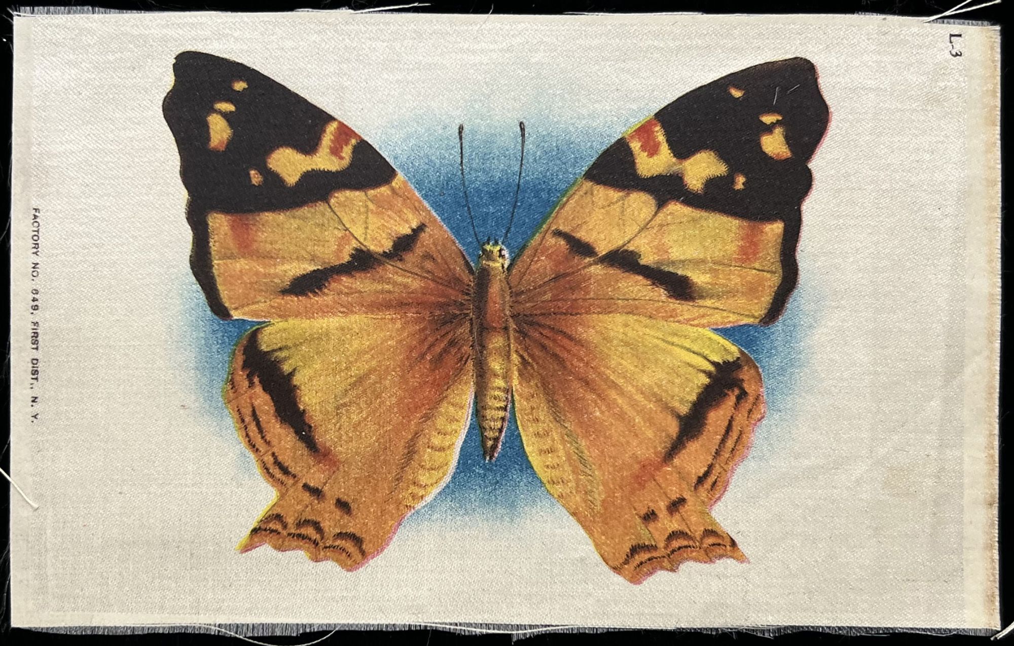tobacco butterfly Antique rare Velvet Felt 8" x 51/2" American Tobacco Co 1890s-1900 made in USA for cigar and cigarette packs No 13 Butterfly Black 20 Gr |
