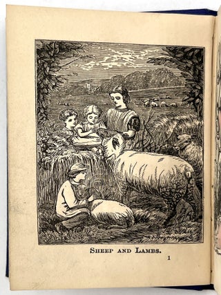Complete Set of "Little Bessie's Country Stories" by Thomas Miller