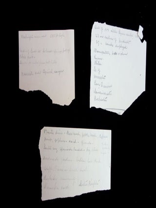 An Array of Notes of a Mother's trip by train Across America, c1884
