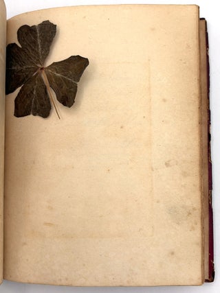 Pennsylvania Friendship Album of Miss Ann Shafer -- pressed Flowers, Four-Leaf Clovers, Decorative Penmanship
