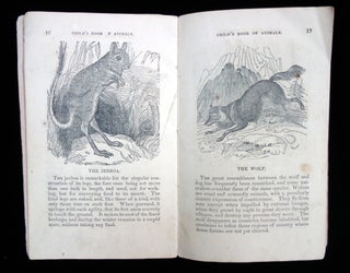 The Jungle, or child's book of wild animals.