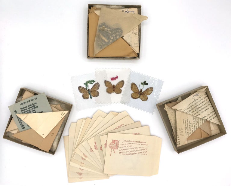 Item #26014555 The Butterfly Hunter's Guide & Price Lists - together with Collection of 56 Specimens
