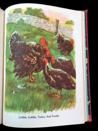 The Brimful Book, Mother Goose Animals A.B.C. illustrated by Eulalie, C. M. Burd and G & D Haumann