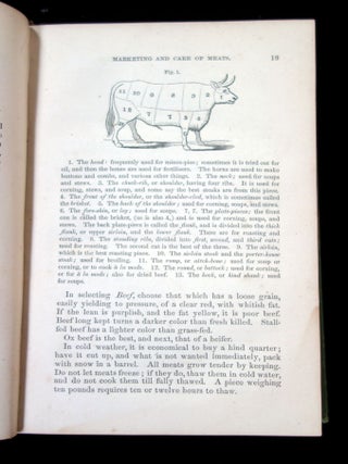 Miss Beecher's Housekeeper and Health Keeper, contain five hundred recipes for economical and healthful cooking; also, Many Directions for securing health and happiness