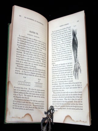 Miss Beecher's Housekeeper and Health Keeper, contain five hundred recipes for economical and healthful cooking; also, Many Directions for securing health and happiness