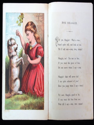 Lily's Picture Book
