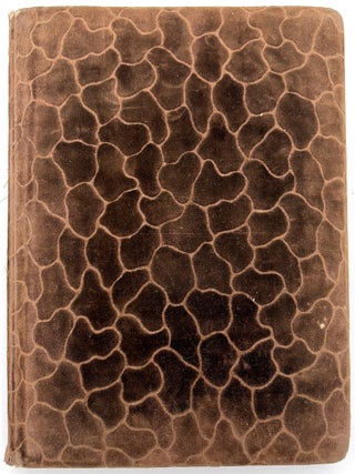 Friendship Album of Minnie Brutsche Otto (b.1867?) -- Acrostics, Pressed Flower, Original Pencil Drawing, Extensive Entries