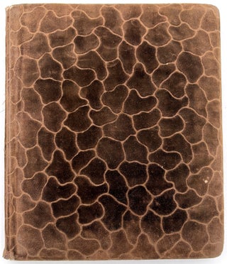 Friendship Album of Minnie Brutsche Otto (b.1867?) -- Acrostics, Pressed Flower, Original Pencil Drawing, Extensive Entries