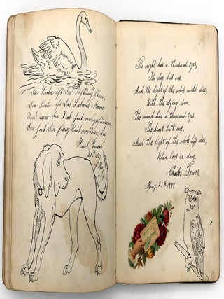 Friendship Album of Minnie Brutsche Otto (b.1867?) -- Acrostics, Pressed Flower, Original Pencil Drawing, Extensive Entries