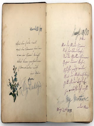 Friendship Album of Minnie Brutsche Otto (b.1867?) -- Acrostics, Pressed Flower, Original Pencil Drawing, Extensive Entries