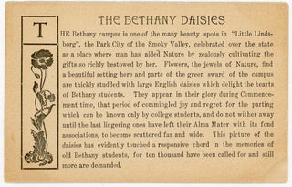 The Bethany Daisies - a field of daisies coincides with graduation