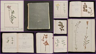 Item #28016150 Herbarium Journal with Watercolors