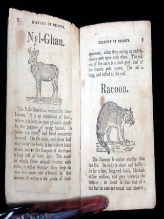 Married Chap Book: Children's History of Beasts, No. 3 and Children's History of Beasts, Advice, and Select Hymns