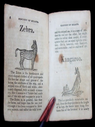 Married Chap Book: Children's History of Beasts, No. 3 and Children's History of Beasts, Advice, and Select Hymns